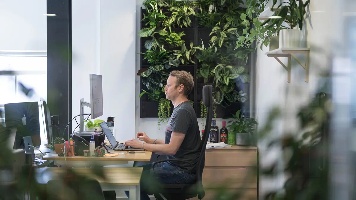 A private office at The Workshop, living wall and all