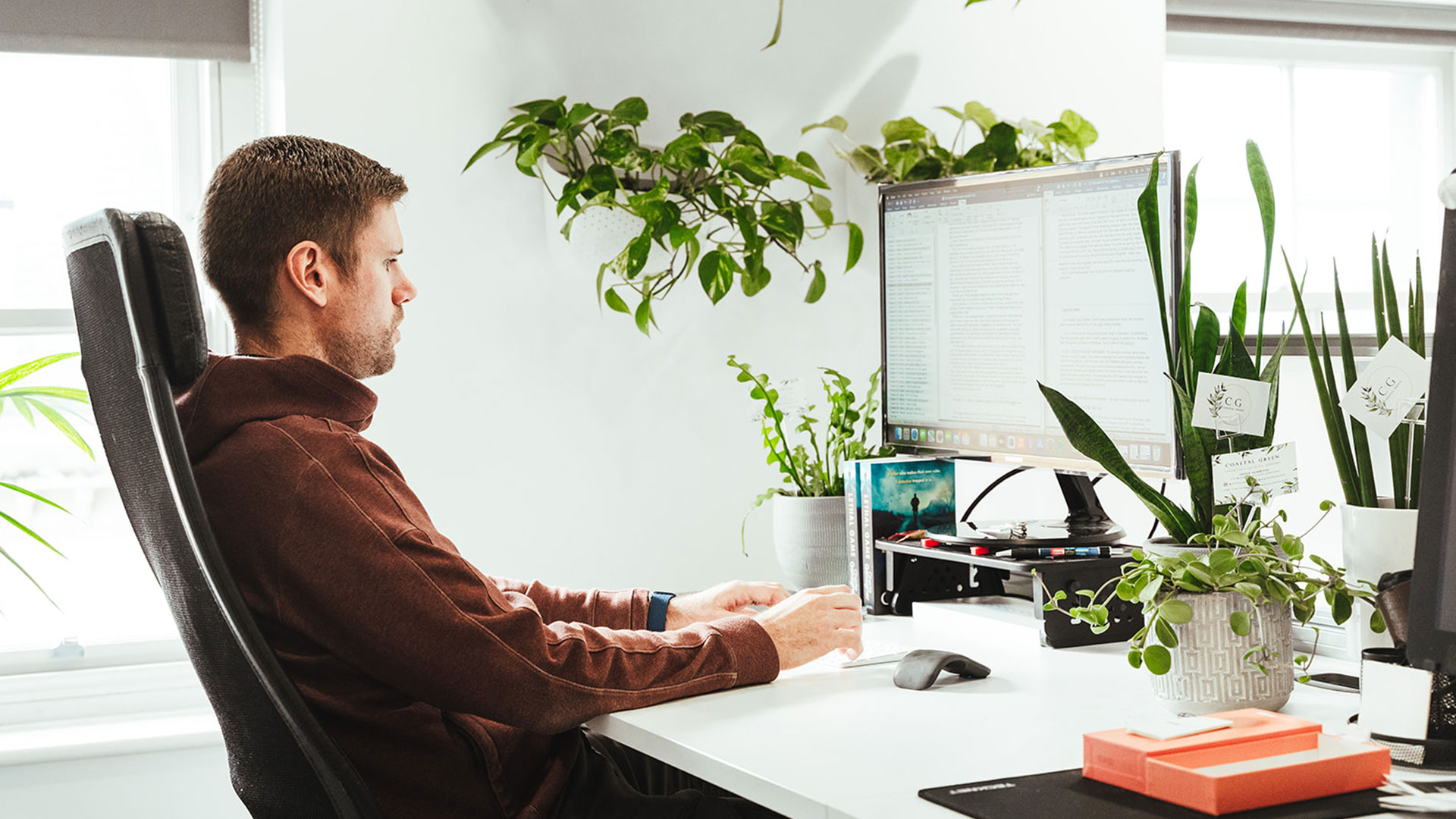 A Workstation desk: your own screen, your own plants